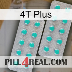 4T Plus 29